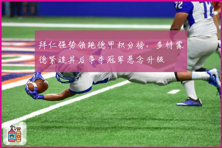 拜仁强势领跑德甲积分榜，多特蒙德紧追其后争夺冠军悬念升级